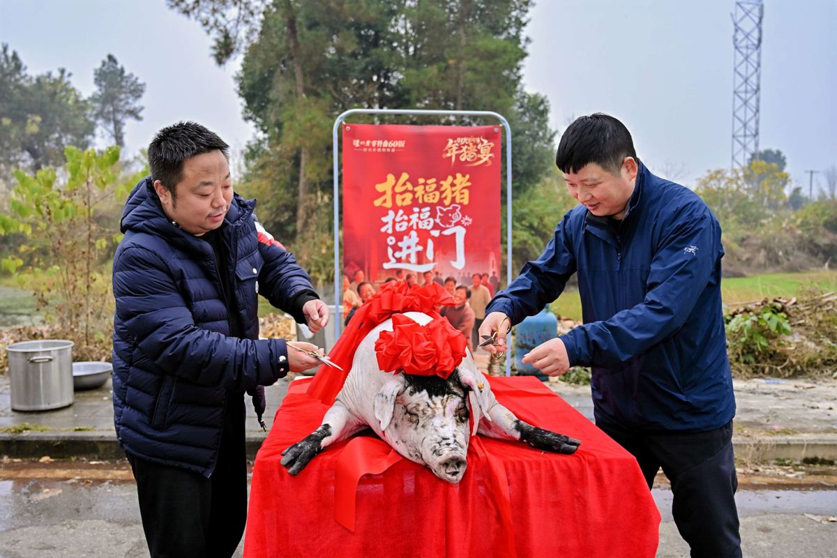 往届实拍:抬福猪仪式